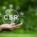Budget Allocation for CSR: A Strategic Guide for Businesses