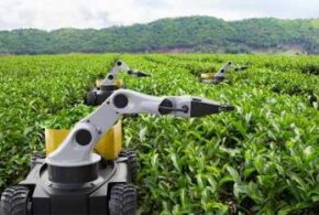 Agri AI models are being sown from India to APAC Agri AI models are being sown from India to APAC